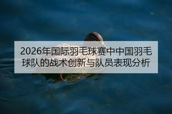 2026年国际羽毛球赛中中国羽毛球队的战术创新与队员表现分析