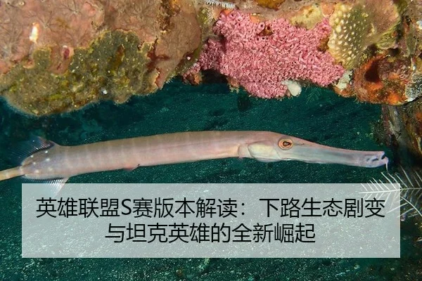 英雄联盟S赛版本解读：下路生态剧变与坦克英雄的全新崛起