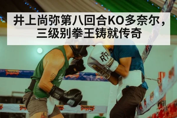 井上尚弥第八回合KO多奈尔，三级别拳王铸就传奇
